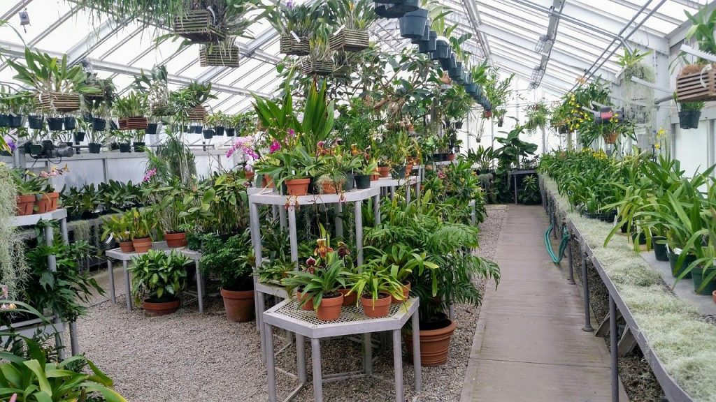 Green House