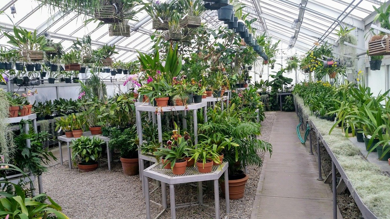 Green House