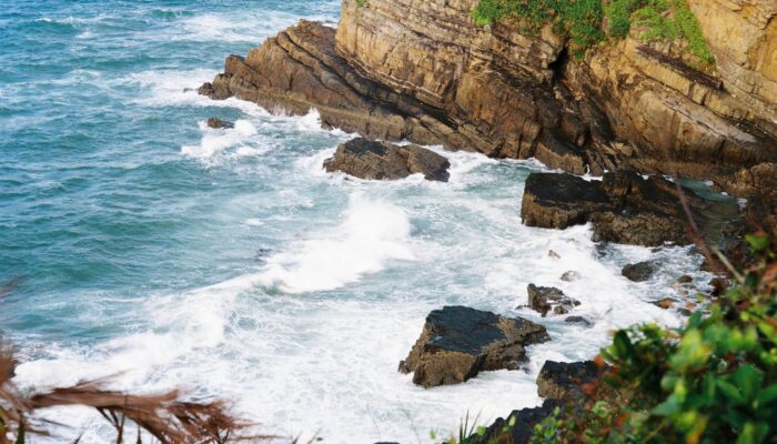 pexels-q-hAE°ng-pháo¡m-12735690-700x400