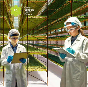 Untitled design (19)